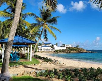 Darling Palms Tree House: Beachside Studio Oasis - Saint Thomas Island - Beach