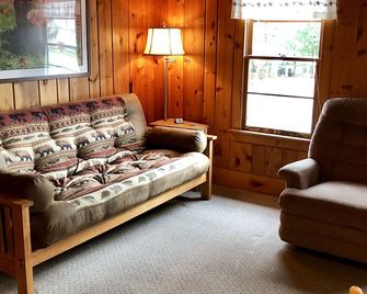 Cozy One Bedroom Cottage Across From Portage Lake & Steps From Lake Michigan - Onekama - Living room