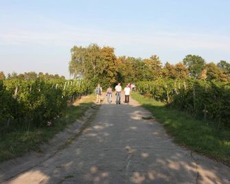 Ferienwohnung Im Schiller - Abtswind - Außenansicht