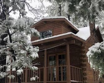 Forest Cabin 5 Old Glory - Payson - Building