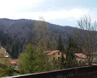 Snow Residence Azuga - Azuga - Outdoor view
