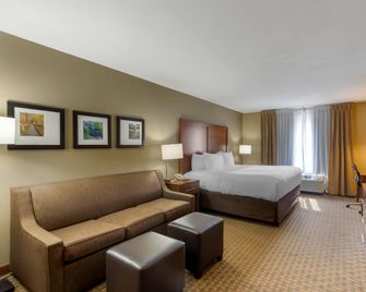 Comfort Inn & Suites Marion I-57 - Marion - Habitación