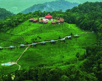 Wild Planet Resort - Gudalur - Vista del exterior
