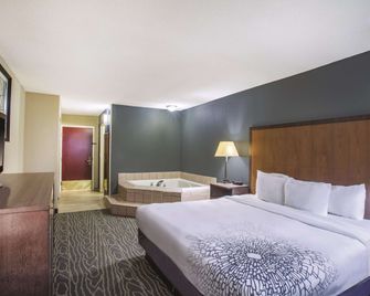 La Quinta Inn by Wyndham Richmond South - Richmond - Habitación
