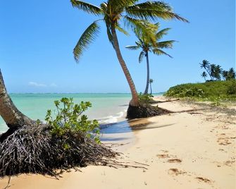 Sigasiga Sands Boutique Bungalows - Savusavu - Beach