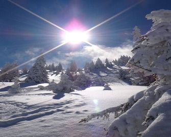 Ski-in, Ski-out by Apartment Managers - Kirchberg in Tirol