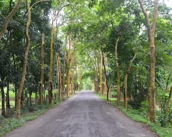 Lawachara Eco Cottage - Srimangal - Property amenity