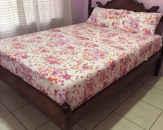 Very Clean 2 Bedroom Ocean View Apartment in Gouyave, Grenada - Gouyave - Bedroom