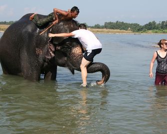 Jungle Wildlife Camp - Sauraha