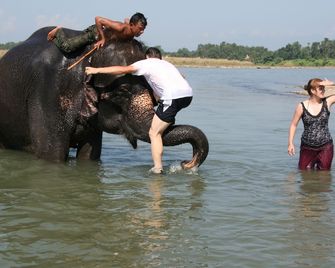 Jungle Wildlife Camp - Sauraha