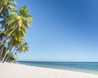 Zenith Inn & Resto Bar - Anda - Beach