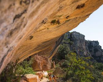 Mas de l'Arlequi - Rojals