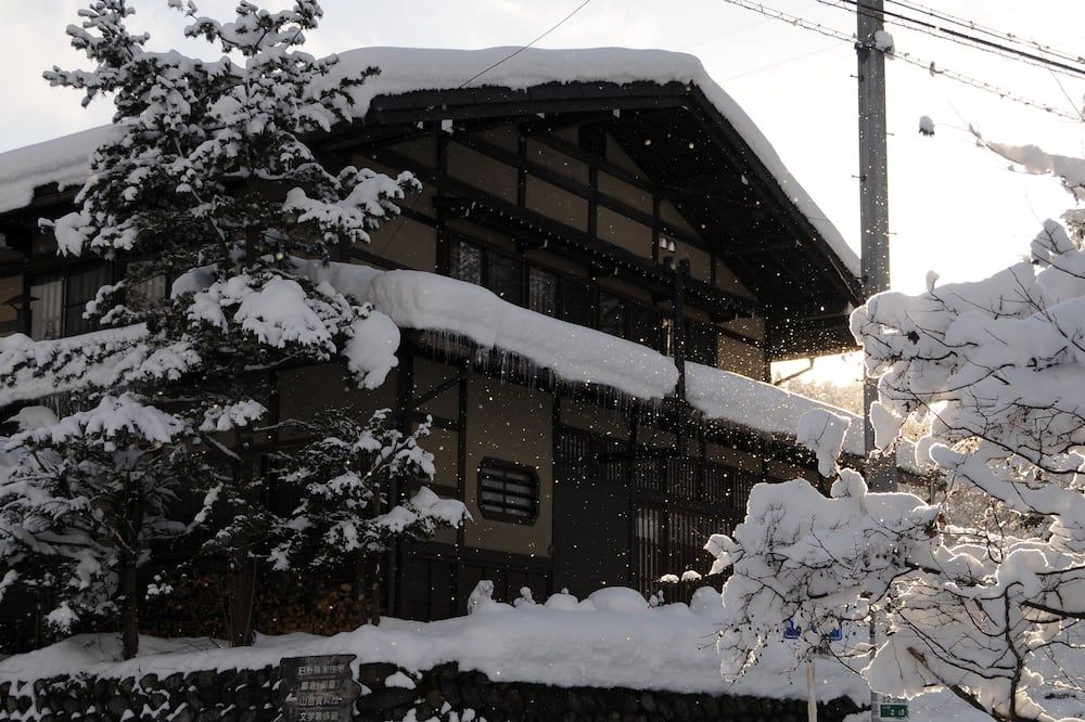 ساكورا جيستهاوس - هوستل