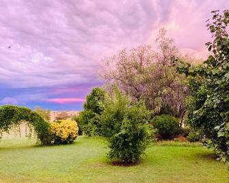 BlueHaven Retreat a peaceful relaxing space with a stunning outlook. - Bective - Outdoor view