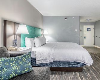 Hampton Inn Youngstown-North - Youngstown - Soverom