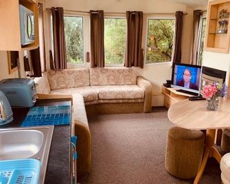 95 Newquay bay Resort Dog friendly - Porth - Salon