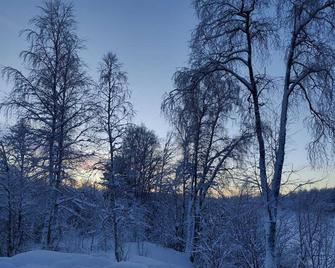 Experience amazing Ivalo 4,5km from the AirPort - Inari