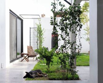 Casa Valparaiso Suites - Салтілло - Патіо