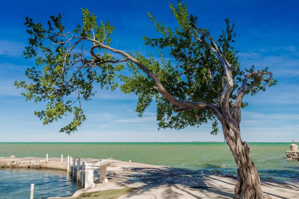 Beach view of 3 Bedroom Private Oceanfront House - Sol