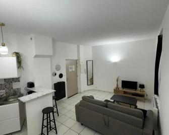 App T1 bis centre ville - Brest - Living room