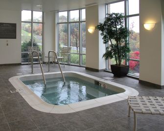 Hampton Inn & Suites Pittsburgh-Meadow Lands - Washington - Zwembad