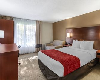 Comfort Inn Airport West - Mississauga - Schlafzimmer