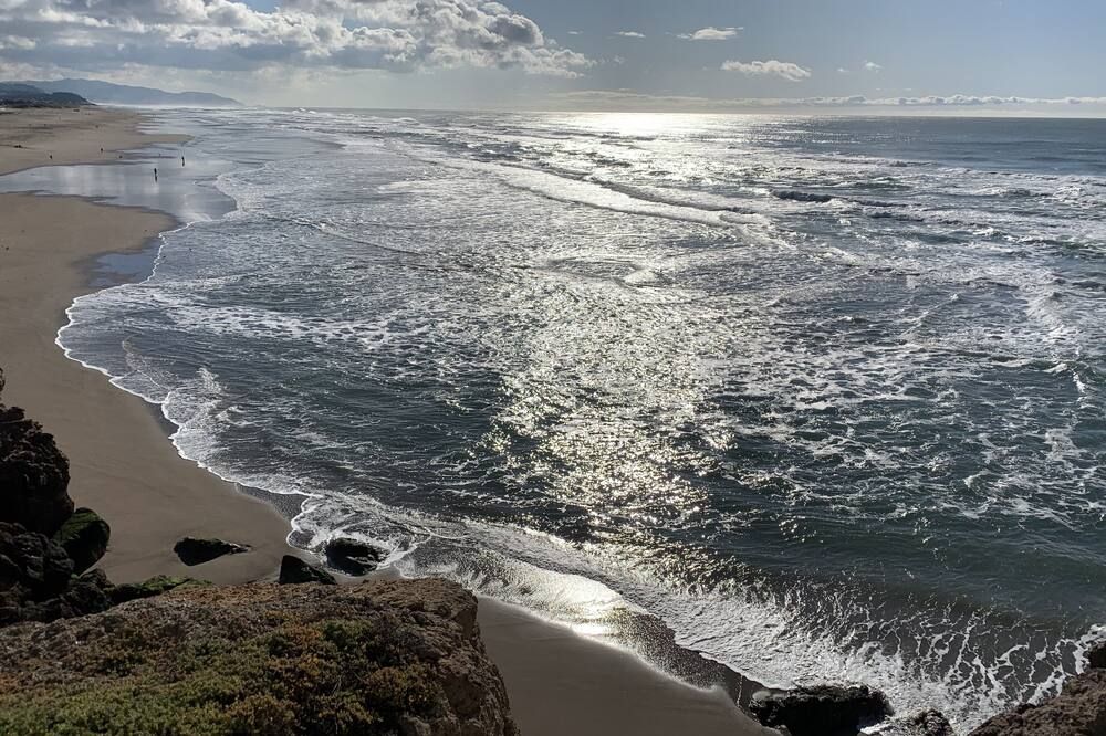 Golden Gate Park Sweet Home-2 bedrooms - סן פרנסיסקו - חוף