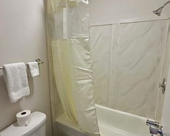 American Inn & Suites Bishop Airport Flint - Flint - Badkamer
