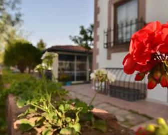 Cunda Nesos Pansiyon - Ayvalik