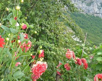 Guesthouse Iro - Papingo - Outdoor view
