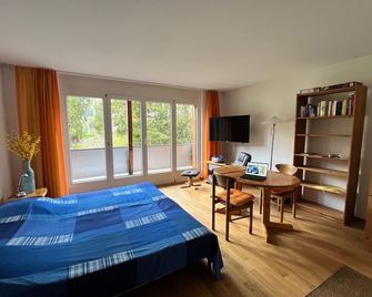 Wef Week in Davos Still Free!!! - Davos - Bedroom