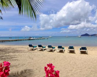 Oualie Beach Resort - Newcastle - Plajă