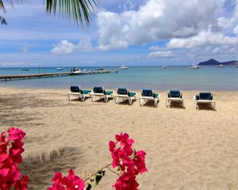Oualie Beach Resort - Newcastle - ชายหาด