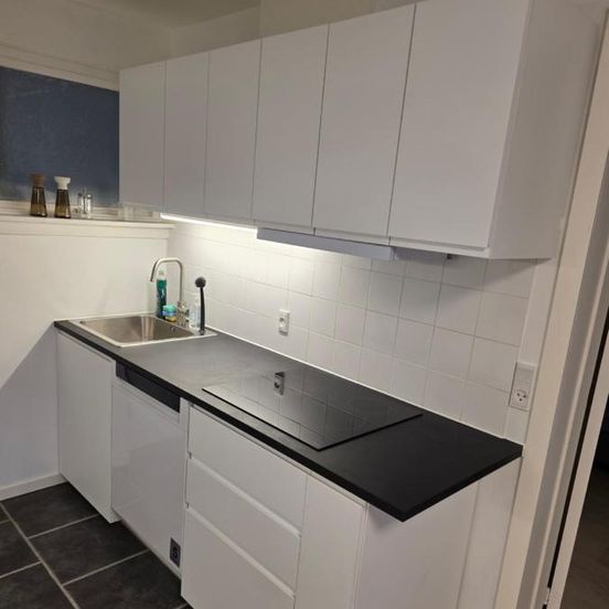 2 room apartment in Horsens – Hedensted