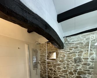 Pazo de Laia - Palas del Rey
