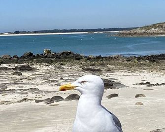 3 Pieces Plein Centre, Parking, 400m Plage, Wifi, Classe 3 Etoiles - Quiberon