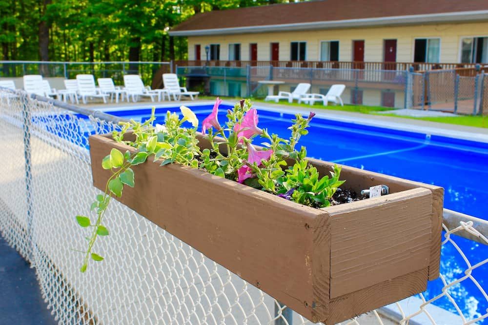 ذا موتل مونتريال - لاكي جورج - حوض السباحة