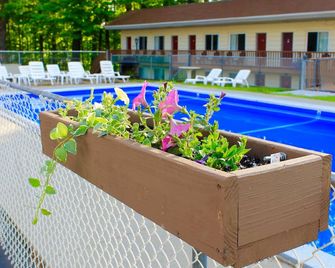 ذا موتل مونتريال - لاكي جورج - حوض السباحة