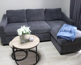 Brand new 2-bedroom in charming Santa Maria with WiFi, AC - Santa Maria - Living room