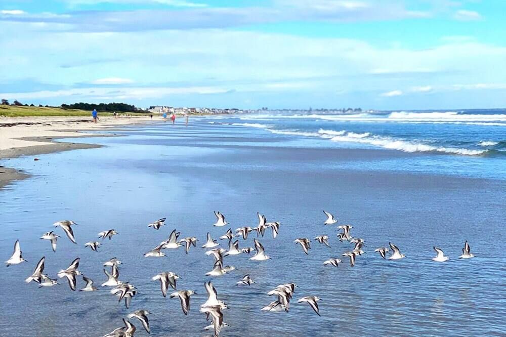 Bourne's Ocean Acres Ogunquit - Ogunquit - Sovrum