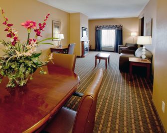 Holiday Inn Express & Suites Suffolk By IHG - Suffolk - Sala de estar
