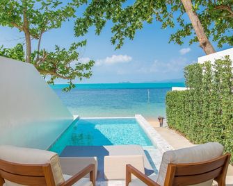 White Whale Beachfront Pool Villa - 蘇梅島 - 游泳池