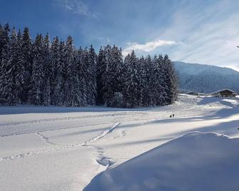 Appartement Hoschek - Scheffau am Wilden Kaiser - Annehmlichkeit