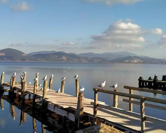 Campsite Chalet Zr28 Tuscany Near sea Viareggio - Viareggio