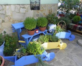 Pension Anastasia - Ammouliani - Innenhof
