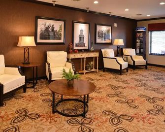 Holiday Inn Express & Suites Washington - Meadow Lands By IHG - Washington - Lounge
