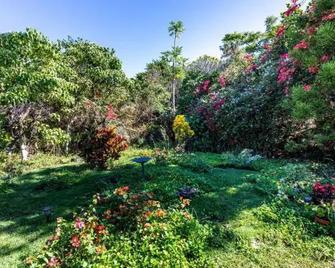 The Sanctuary - Captain Cook - Outdoors view