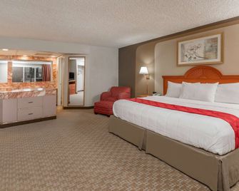 Ramada by Wyndham Odessa Near University of Texas Permian - Odessa - Soverom