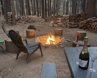 Weekend Getaway Relax & Recharge 5 acres Nature Retreat & Dog Heaven! - Mokelumne Hill - Patio