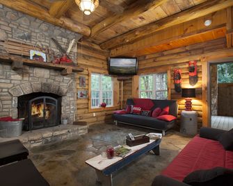 Private Nc Ski Lodge Hot Tub, Hanging Bed, Sleeps 17, Pet-Friendly Fish 2 Ponds - Mars Hill - Living room
